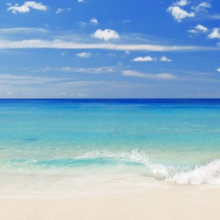 "The Sunset Shack" Best Location With Ocean View, Short Walk To Beach, Perfect Spot For A Getaway! Destin Exterior foto